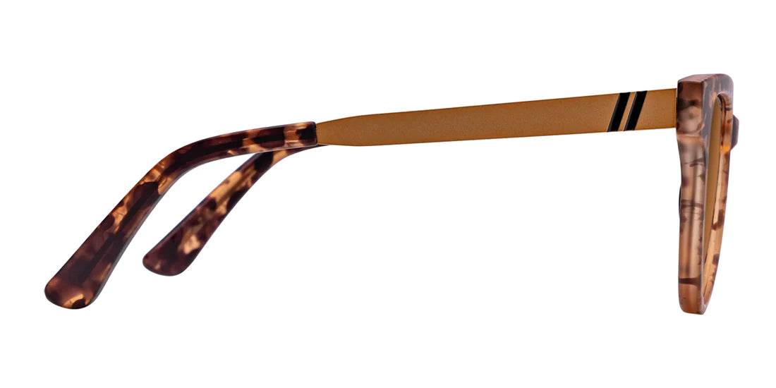 Blenders  Copper Fox Sunglasses