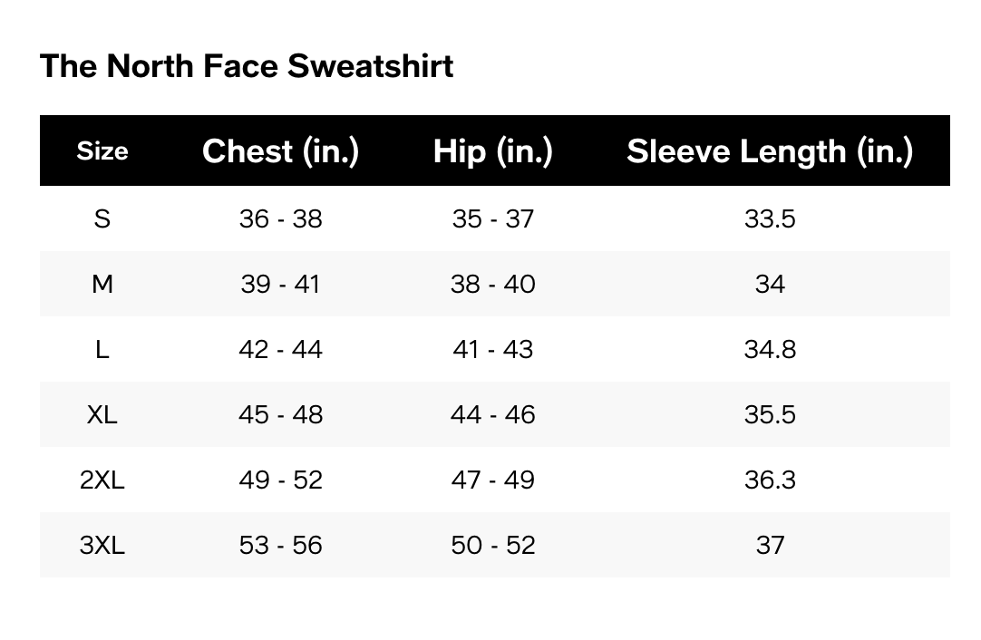 The North Face 504 The North Face Men's Mountain Scape Regular Hoodie White Dune