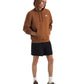 The North Face Men's Evolution Simple Dome Hoodie Burnt Umber