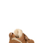 UGG® Women's Lowmel Chestnut