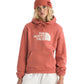 The North Face Women's Evolution Edge Of Light Half Dome Hoodie Mars Dust