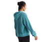 The North Face Women's Chabot Hoodie Algae Blue