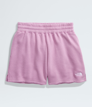 The North Face Women's Evolution Short Mineral Purple
