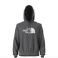 The North Face Men's Evolution Half Dome Hoodie TNF Mid Grey Heather