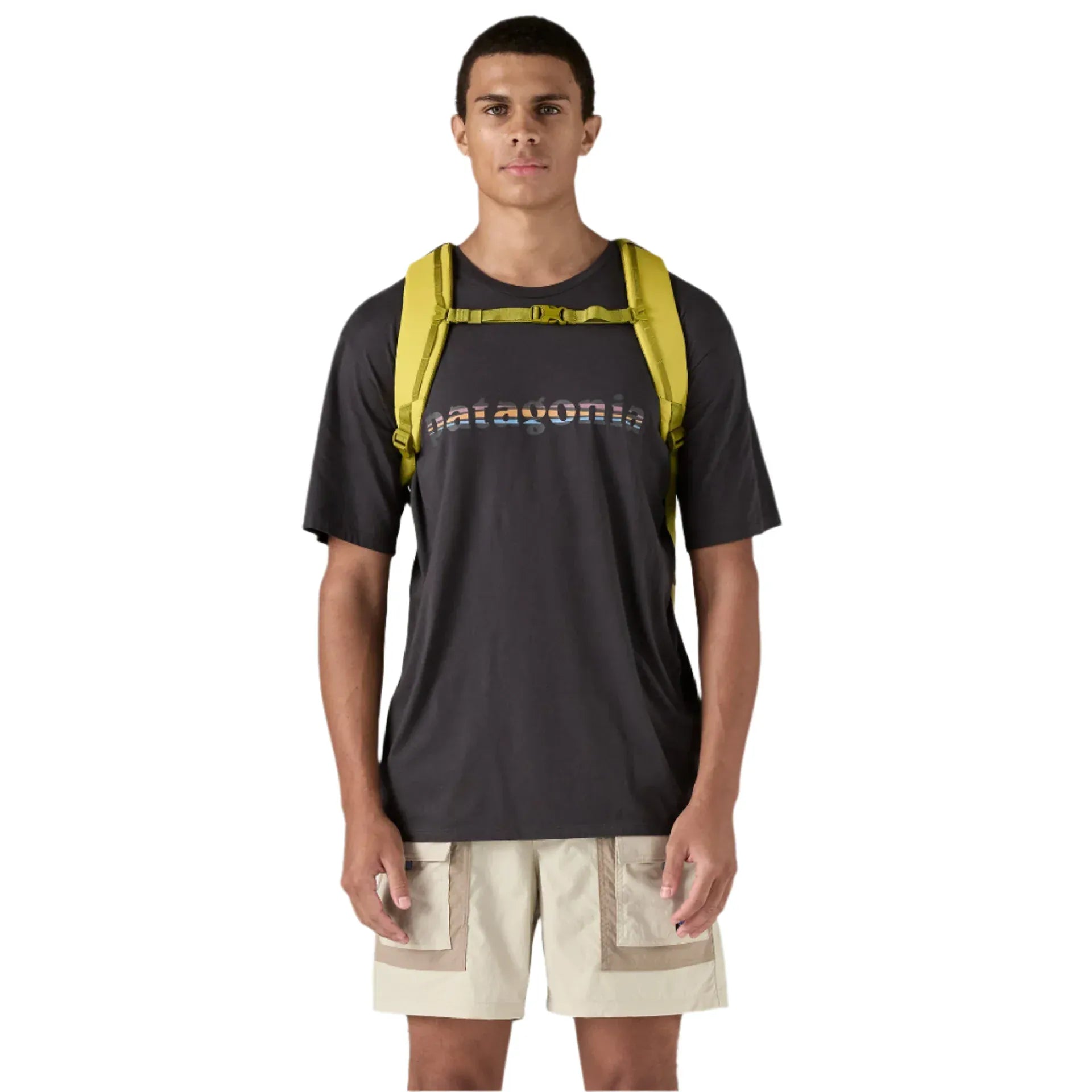 Patagonia 307 ALL / Graze Green Patagonia Refugio Day Pack 26L Graze Green