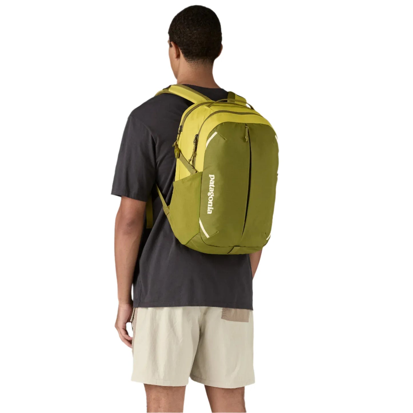 Patagonia 307 ALL / Graze Green Patagonia Refugio Day Pack 26L Graze Green