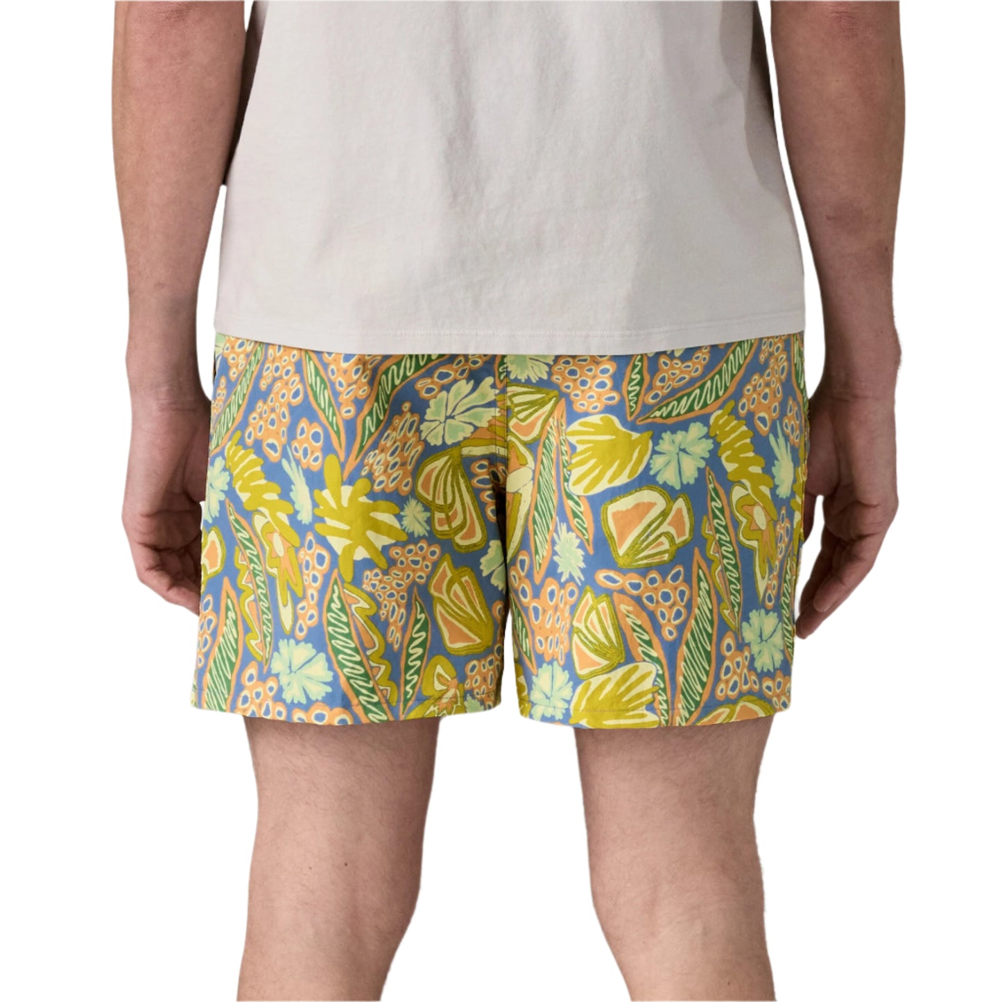 Patagonia Men's Baggies Shorts - 5 in. Flourish: Abundant Blue