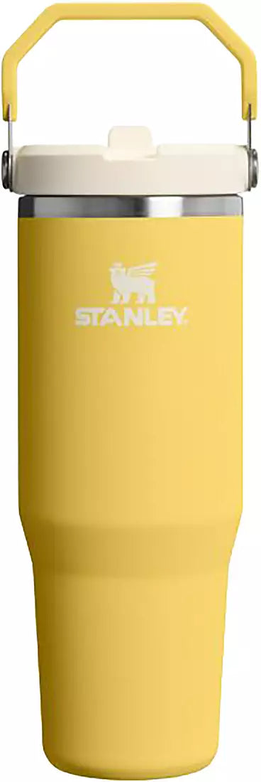 Stanley 303 Stanley The IceFlow™ Flip Straw 2.0 Tumbler