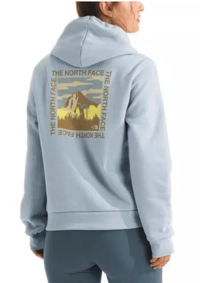 The North Face 175 The North Face Women's All Day Beauty Regular Hoodie Frost Grey