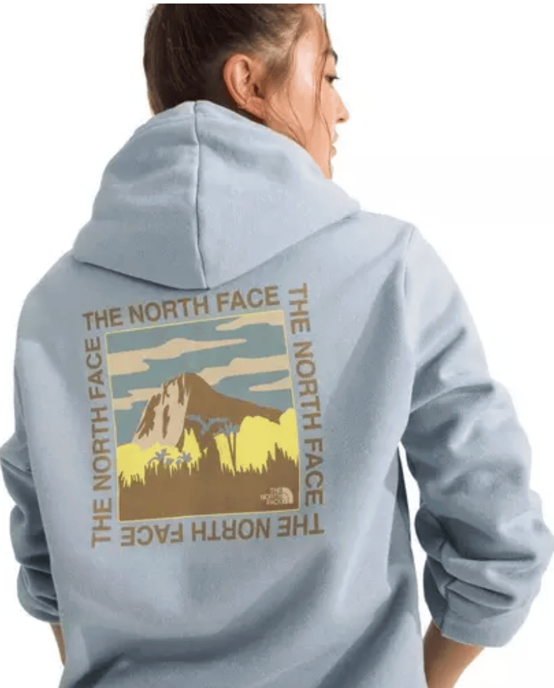 The North Face 175 The North Face Women's All Day Beauty Regular Hoodie Frost Grey