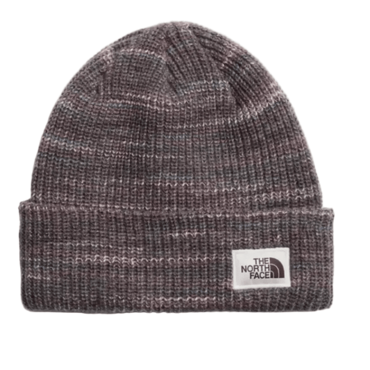 The North Face Accessories > Hats One size / Garnet The North Face Salty Bae Lined Beanie Garnet