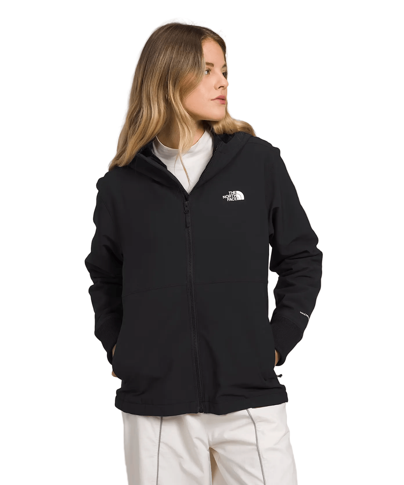 The North Face Women's Apparel > Outerwear The North Face Women's Shelbe Raschel Hoodie Tnf Black-Npf