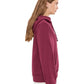 The North Face Women's Apparel > Sweatshirts & Hoodies The North Face Women's Evolution Simple Dome Regular Hoodie Burgundy Crush