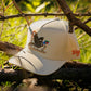 Waggle Accessories > Hats Black Waggle Rooster Rush- Pheasants Forever Hat